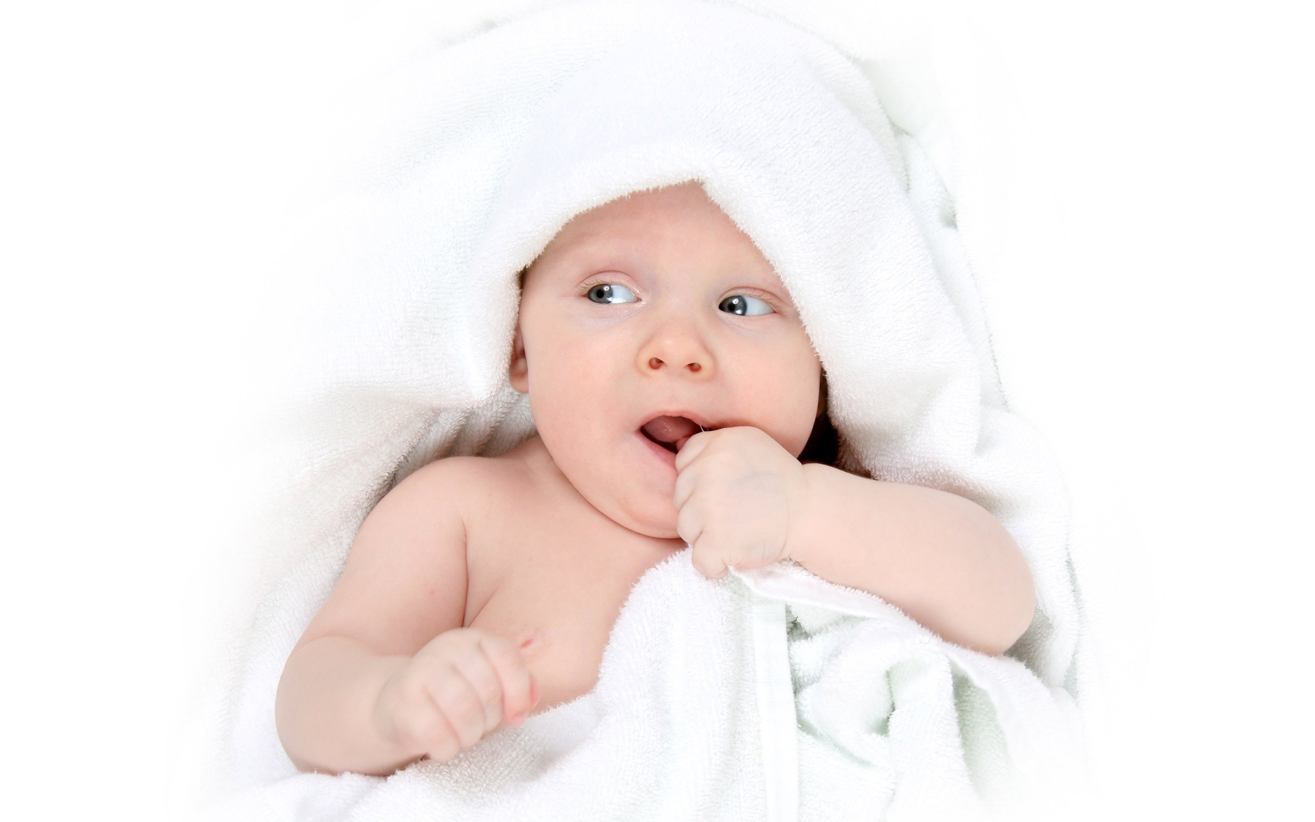 唐山代怀生子助孕机构试管婴儿和人工受精成功率